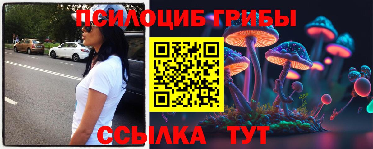 Псилоцибиновые грибы прущие грибы  Вход с VPN  Галлюциногенные грибы мицелий  Хабаровск 